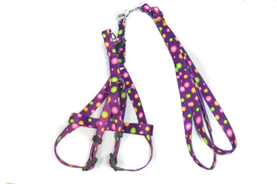

Sollar's Dog Harness & Leash(, Multi Color Sollar Harness