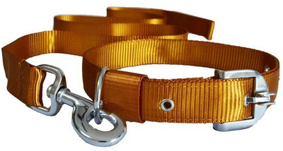 

Pethub Dog Collar & Leash(, Brown