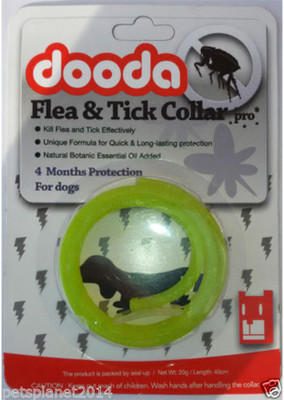 

Pets Planet Dog Everyday Collar(, Green