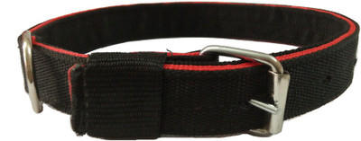 

Sollar's Durable 4 Layer Dog Head Collar(, Red