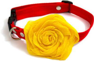 That Dog in Tuxedo Yellow Rose Necklace- M-L Dog Everyday Collar(, red