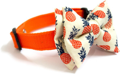 

That Dog in Tuxedo Hawain Pineapple Bowtie -M Dog Show Collar(, Orange