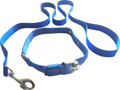 

Suraj Chains Dog Collar & Leash(, Blue
