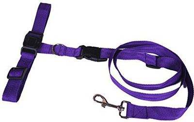 

Futaba Running Pet Hauling Cable Collars Traction Belt - Purple Dog Collar & Chain(, Purple