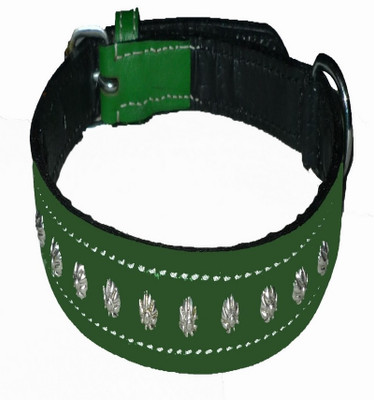 Pets Planet Dog Everyday Collar(, Green