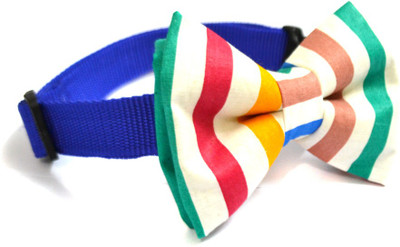 

That Dog in Tuxedo Dog Everyday Collar(, blue