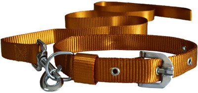 

Paw Zone Dog Collar & Leash(Small, Gold)
