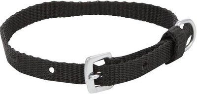 

Imago Dog Everyday Collar(, Black