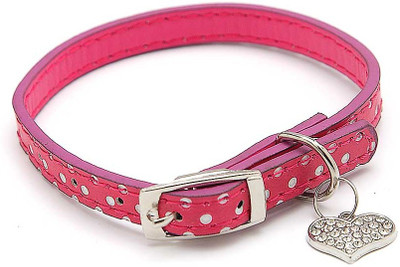 

Ecocart Dog Everyday Collar(, Shining pink