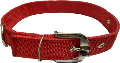 

Sollar's Dog Everyday Collar(, Red