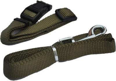 

Ginipet Dog Collar & Leash(, GREEN