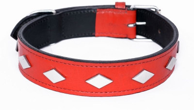 

Pets Planet Dog Everyday Collar(, Red