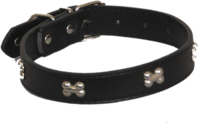 

Pethub Bone Style Collar -Black Dog Everyday Collar(, Black