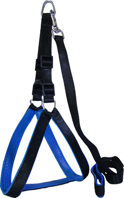 

Pet Centre Dog Standard Harness(, Black, Blue