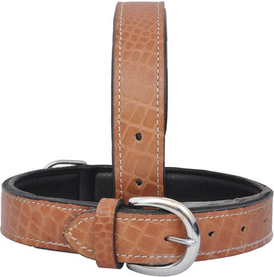 Wonder Wish Dog Everyday Collar(, Tan