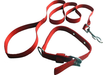 

Suraj Chains Dog Collar & Leash(, Red