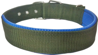 

Sollar's Green Nylon Padded  Dog Everyday Collar(, Green, Blue, Blue;green