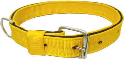 

Sollar's  Dog Everyday Collar(, Yellow