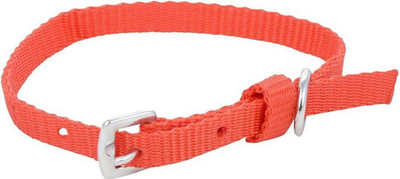 

Imago Dog Everyday Collar(, Red