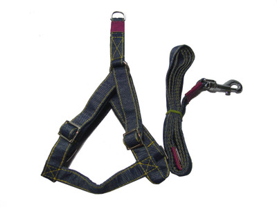 

Agnpetspot.  body belt 0.75inch Dog Harness & Leash(, Blue