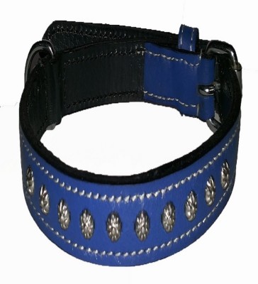 

Pets Planet Dog Everyday Collar(, Blue