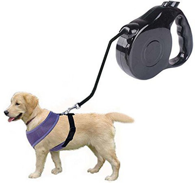 

Futaba Dog Collar & Chain(, Black