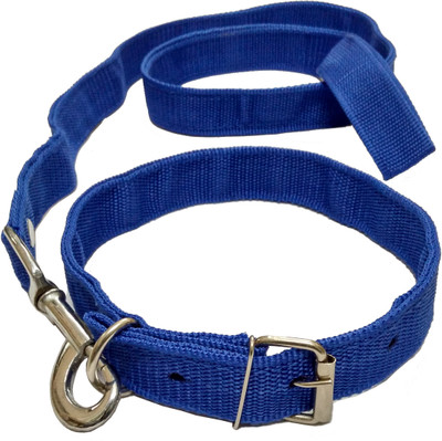 

Sollar's Dog Collar & Leash(, Blue