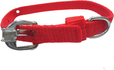 

DCS Dog Everyday Collar(, Red