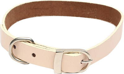 

Hawai Dog Everyday Collar(, Cream