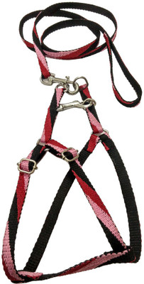 

Sollar's Dog Harness & Leash(, Multicolor