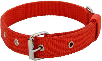 

Imago Dog Everyday Collar(, Red