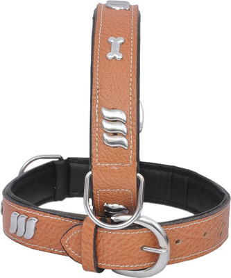 

Wonder Wish Dog Everyday Collar(, Tan