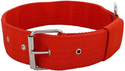 

Imago Dog Everyday Collar(, Red