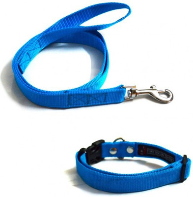 

That Dog in Tuxedo Sky Blue Adjustable Nylon Small Dog Collar & Leash(Small, Sky Blue)