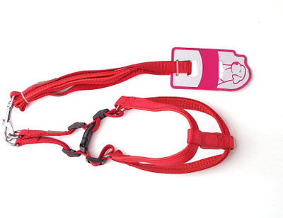 

Ecocart Dog Harness & Leash(, peppy red