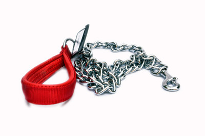 

Pet Empire Dog Collar & Leash(, Red