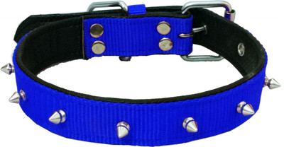 Petshop7 Nylon 1 inch  soft Padding Dog Everyday Collar(, Blue