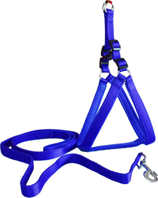 

Paw Zone Dog Harness & Leash(, Blue