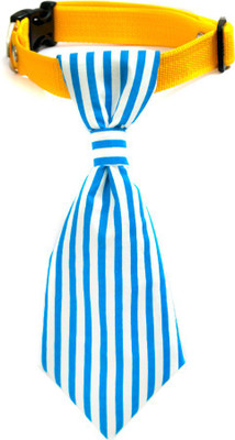 

That Dog in Tuxedo Stripee Summer Neck Tie Collar - M-L Dog Everyday Collar(, blue