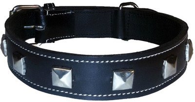 

Petshop7 Black 1.50 Inch Large Studs Leather Dog Everyday Collar(, Black