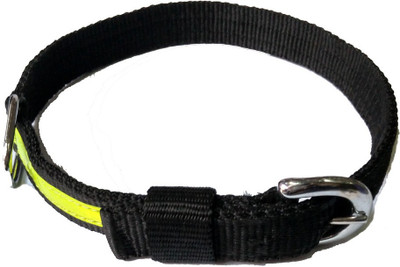 

Sollar's Dog Everyday Collar(, Red