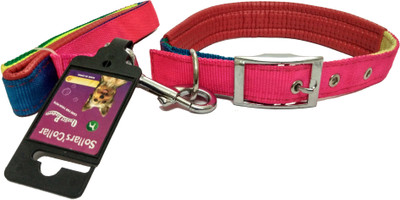 

Sollar's Dog Collar & Leash(, Red