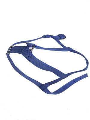 

DCS Dog Harness & Leash(, Blue