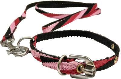 

Sollar's Dog Collar & Leash(, Multicolored