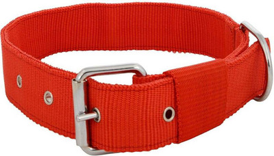 

Imago Dog Everyday Collar(, Red