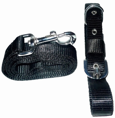 

Pets Planet Dog Collar & Leash(, Black