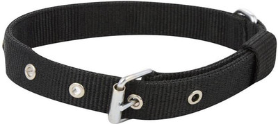 

Imago Dog Everyday Collar(, Black