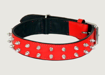 

Pet Club51 SMALL SPIKE Dog Everyday Collar(, Red