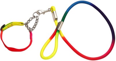 

Ecocart Dog Collar & Leash(, Colourful