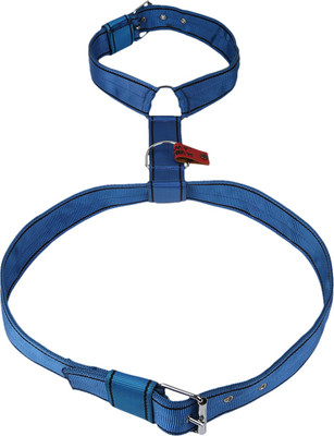 

TommyChew Regular Dog Safety Harness(, Blue